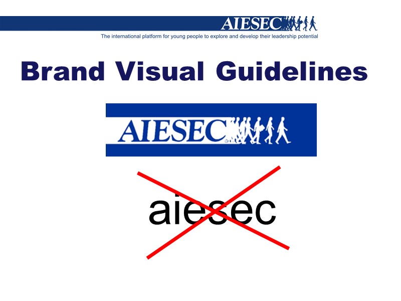 aiesec Brand Visual Guidelines